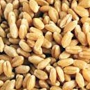 commodities-img
